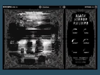 Witch Pig Black Mirror Reverb