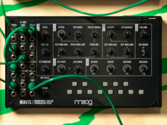 Deal Moog Mavis