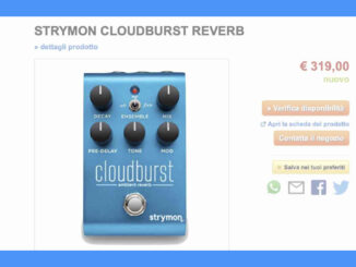 Leak Strymon Cloudburst Reverb