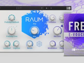 Native Instruments Raum