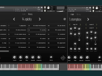 Rigid Audio Stompbox