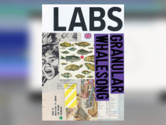Spitfire Labs Granular Whalesong