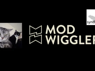 Mod Wiggler Synthcube