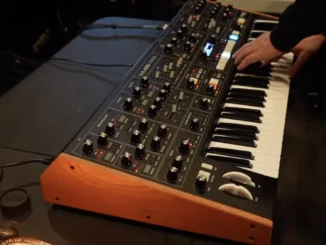 Moog Muse